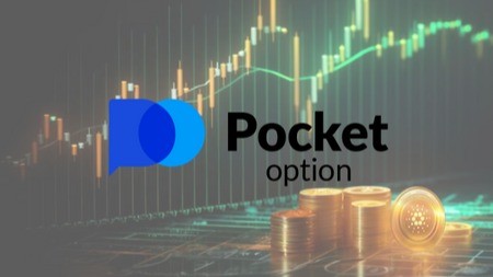 Success Stories of Pocket Option 13 Success Stories of Pocket Option 13