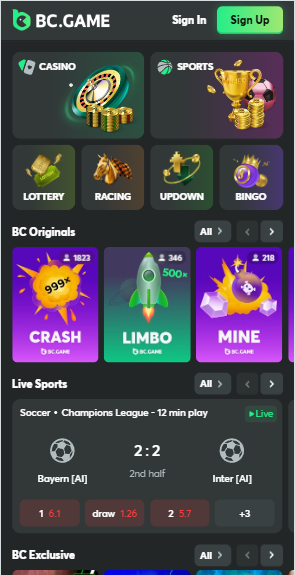 Ultimate Guide to BC Game Casino Download Ultimate Guide to BC Game Casino Download