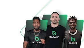 Explore the Future of Gaming with Bcigra Crypto Casino